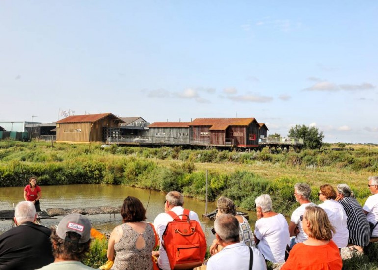 Cité de l'Huître_Marennes-Hiers-Brouage