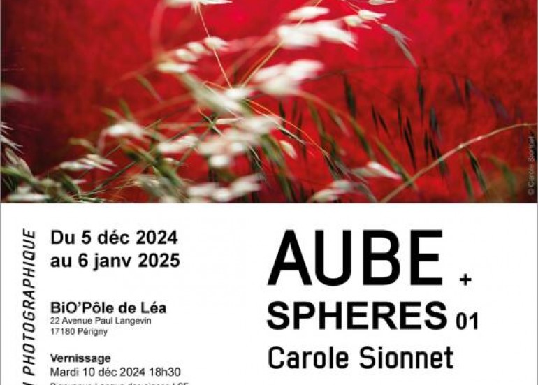 Exposition - Aube + Sphères 01 - Carole Sionnet_Périgny