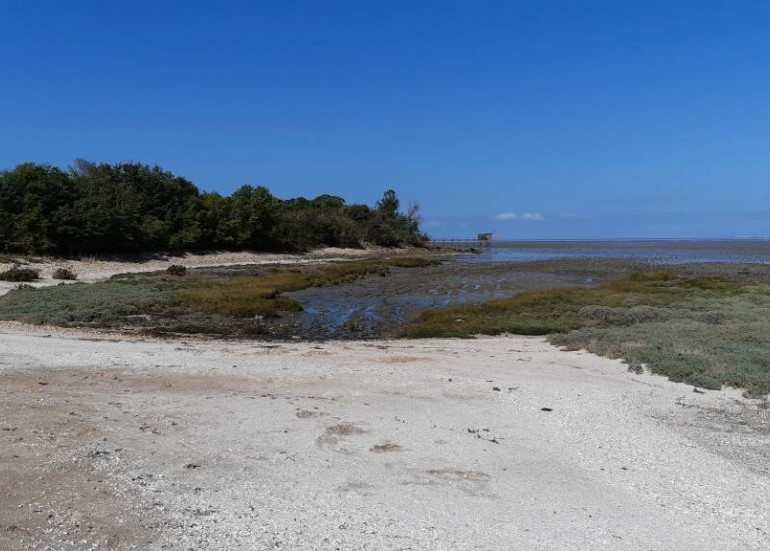 La baie d'Yves au fil des Temps - Le Magnou entre Terre et Mer_Fouras-les-Bains