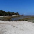 La baie d'Yves au fil des Temps - Le Magnou entre Terre et Mer_Fouras-les-Bains